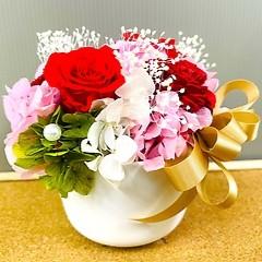 �v���U�[�u�h�t�����[�@�{�����[���̂���ԃs���N�n�̔�����