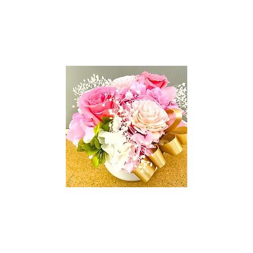 �v���U�[�u�h�t�����[�@�{�����[���̂���s���N�n�̔�����