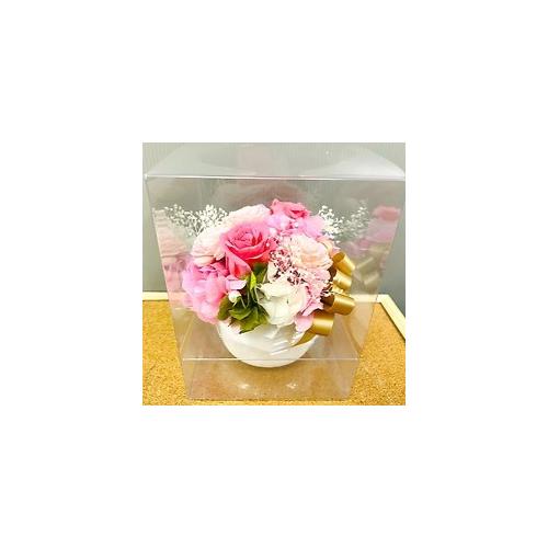 �v���U�[�u�h�t�����[�@�{�����[���̂���s���N�n�̔�����4