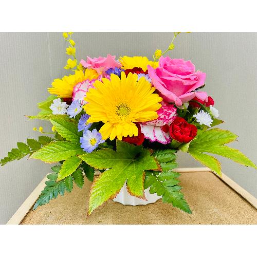 �J���t���Ȍ�j�A�����W�����g2