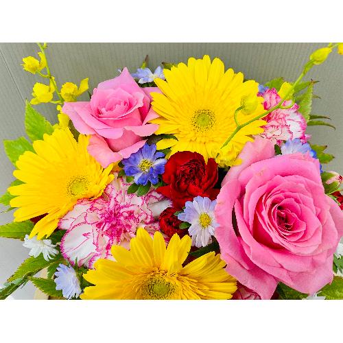�J���t���Ȍ�j�A�����W�����g3