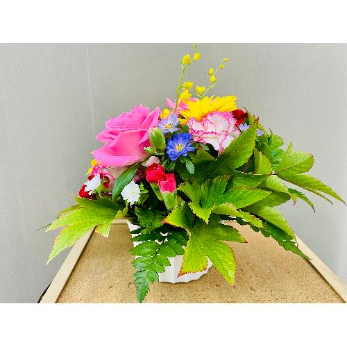 �J���t���Ȍ�j�A�����W�����g4