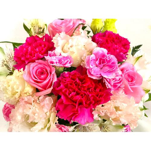 �s���N�n�A�����W�����g�i�����s���N�n�Z�W�Ō�j�Ƀs�b�^���j�B3