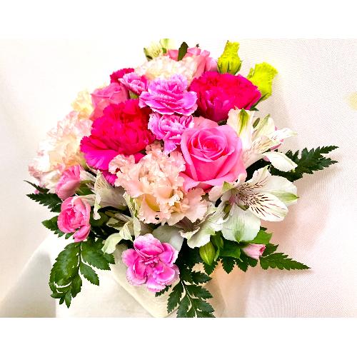 �s���N�n�A�����W�����g�i�����s���N�n�Z�W�Ō�j�Ƀs�b�^���j�B4