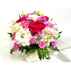 �s���N�n�A�����W�����g�i�����s���N�n�Z�W�Ō�j�Ƀs�b�^���j�B
