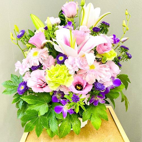 �s���N���̗��������������ŏ�i�ȃA�����W�����g