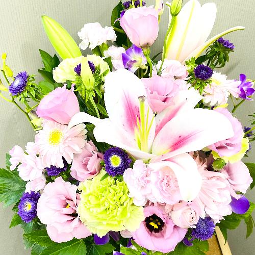 �s���N���̗��������������ŏ�i�ȃA�����W�����g2