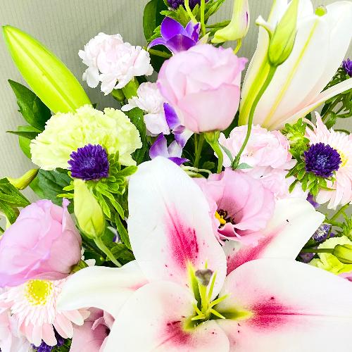 �s���N���̗��������������ŏ�i�ȃA�����W�����g3