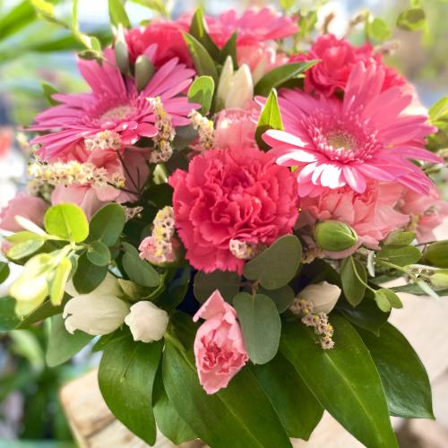 �s���N�D���ɂ͂��܂�܂���I�߂�����s���N�n�A�����W�����g���