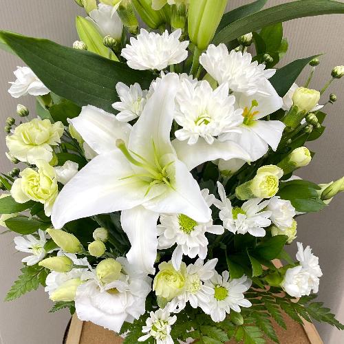 �������̓��������O���[���̔��オ��䋟�A�����W�����g2