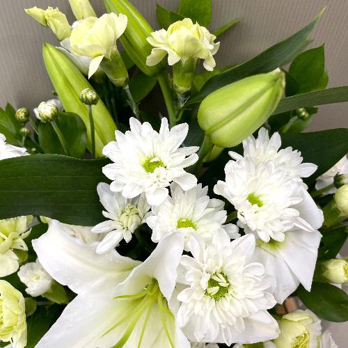 �������̓��������O���[���̔��オ��䋟�A�����W�����g3
