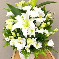 �������̓��������O���[���̔��オ��䋟�A�����W�����g