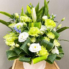 �O���[�����߁A�W��������������i�Ȃ������A�����W�����g