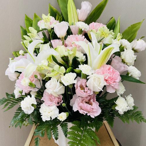 ���s���N�̉������̕��ւ̌䋟�A�����W�����g