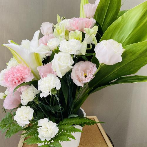 ���s���N�̉������̕��ւ̌䋟�A�����W�����g4