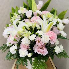 ���s���N�̉������̕��ւ̌䋟�A�����W�����g