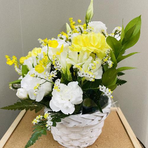 �����F�n�A����߂̉؂₩�Ȍ䋟�A�����W�����g4