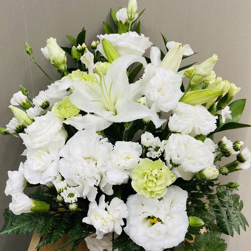 �ǂ�ȏ@�h�ł����v�A���オ�肨�����A�����W�����g