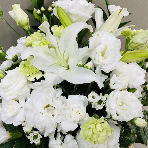 �ǂ�ȏ@�h�ł����v�A���オ�肨�����A�����W�����g2