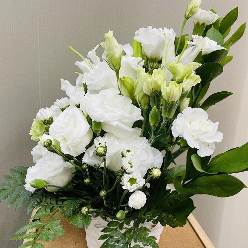 �ǂ�ȏ@�h�ł����v�A���オ�肨�����A�����W�����g3