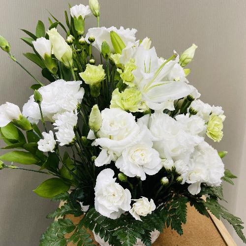 �ǂ�ȏ@�h�ł����v�A���オ�肨�����A�����W�����g4