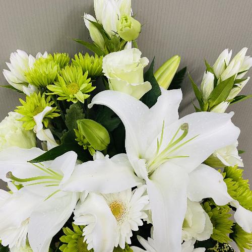 ���傤�ǂ����T�C�Y�A���O���[���䋟�A�����W�����g3
