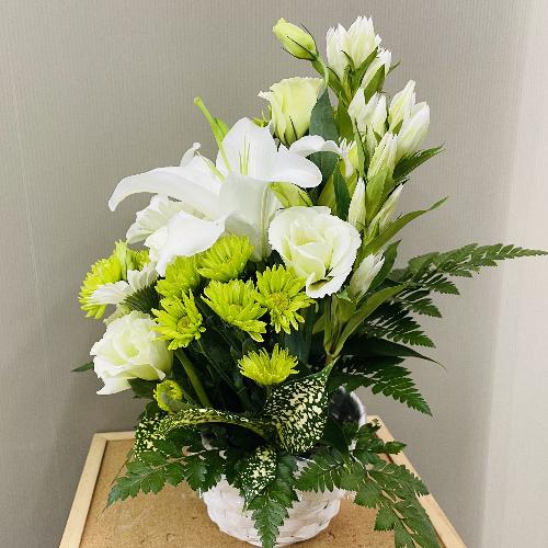 ���傤�ǂ����T�C�Y�A���O���[���䋟�A�����W�����g4