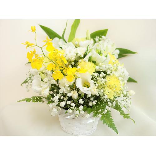 ���^�Ȕ����S�ɒW�����F�̌䋟�A�����W�����g�B