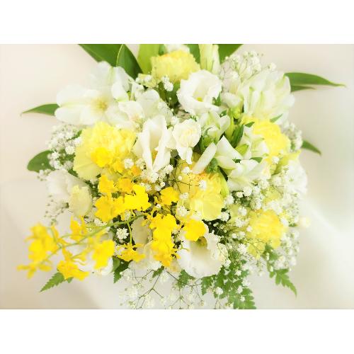 ���^�Ȕ����S�ɒW�����F�̌䋟�A�����W�����g�B2