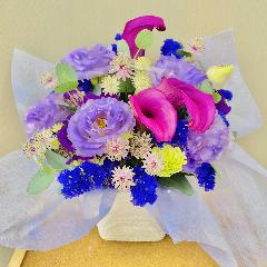 ���D���ɂ͂��܂�܂���I���p�[�v���o�C�I���b�g�A�����W�����g
