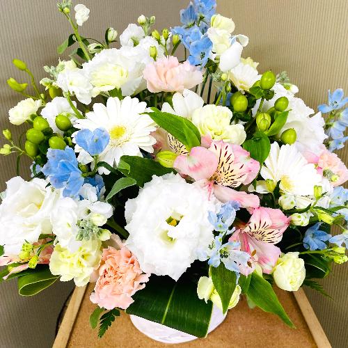 �p�X�e���J���[�̌䋟�A�����W�����g