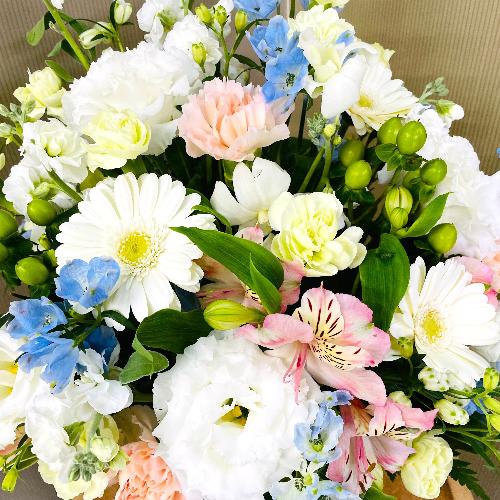 �p�X�e���J���[�̌䋟�A�����W�����g2