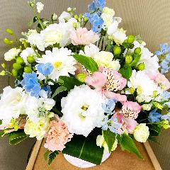 �p�X�e���J���[�̌䋟�A�����W�����g