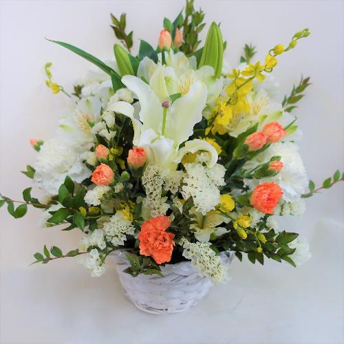 �������̔����S�ɏ����I�����W�F�̌䋟�A�����W�����g�B