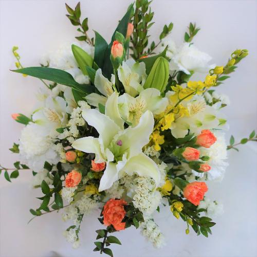 �������̔����S�ɏ����I�����W�F�̌䋟�A�����W�����g�B2