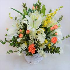 �������̔����S�ɏ����I�����W�F�̌䋟�A�����W�����g�B