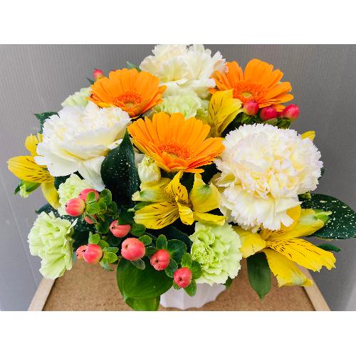 �C�G���[�I�����W�n�̑u�₩�ȃA�����W�����g2