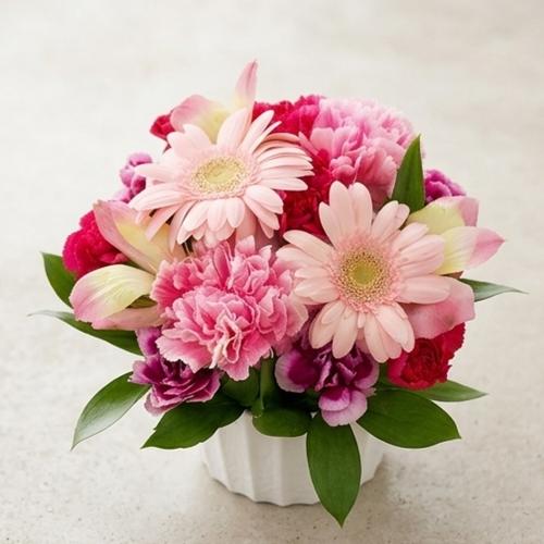 �R���p�N�g�ȉ����s���N�n�A�����W�����g2