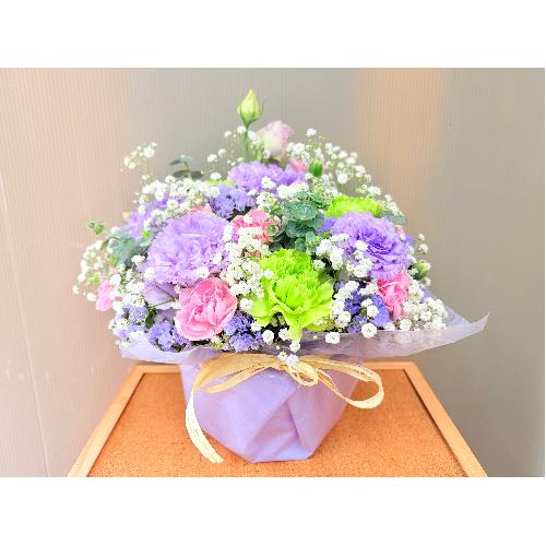 �y�b�g��p�s���N���n�p�X�e���J���[�̌䋟�A�����W�����g2