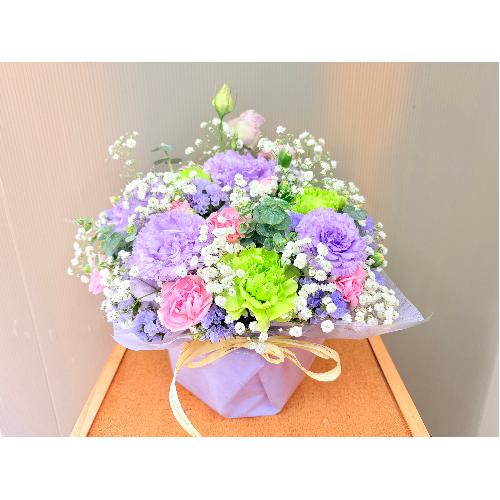 �y�b�g��p�s���N���n�p�X�e���J���[�̌䋟�A�����W�����g3