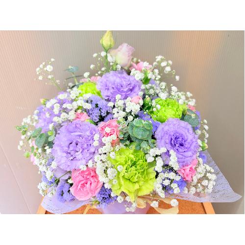 �y�b�g��p�s���N���n�p�X�e���J���[�̌䋟�A�����W�����g4