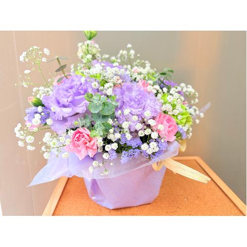 �y�b�g��p�s���N���n�p�X�e���J���[�̌䋟�A�����W�����g5