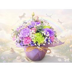 �y�b�g��p�s���N���n�p�X�e���J���[�̌䋟�A�����W�����g