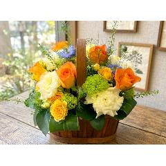 ����E�b�h�o�X�P�b�g��̃p�X�e���I�����W�A�����W�����g