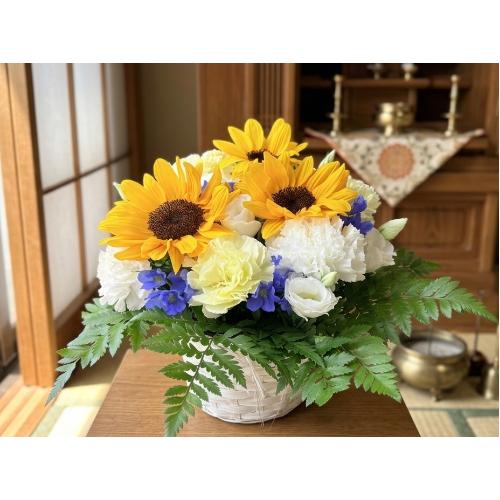 �q�}�����̌䋟�A�����W�����g