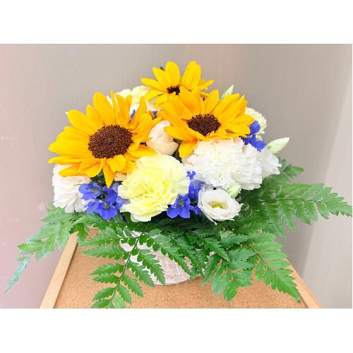 �q�}�����̌䋟�A�����W�����g2