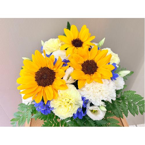 �q�}�����̌䋟�A�����W�����g3