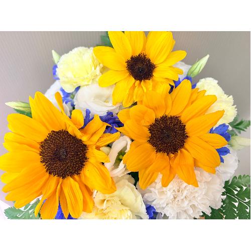 �q�}�����̌䋟�A�����W�����g4