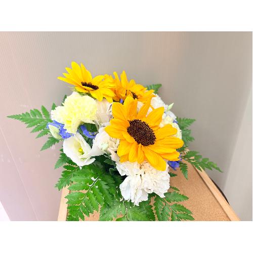 �q�}�����̌䋟�A�����W�����g5