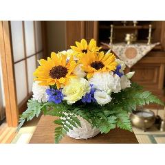 �q�}�����̌䋟�A�����W�����g